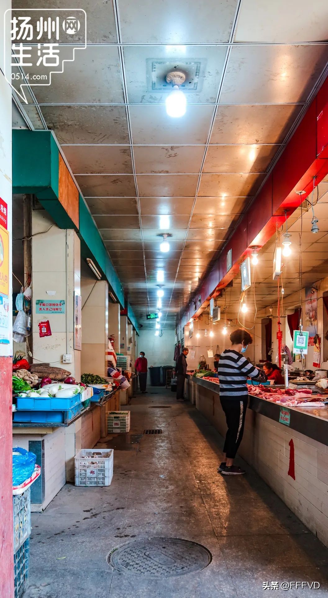 逛扬州菜市场,扬州最有烟火气息的菜场