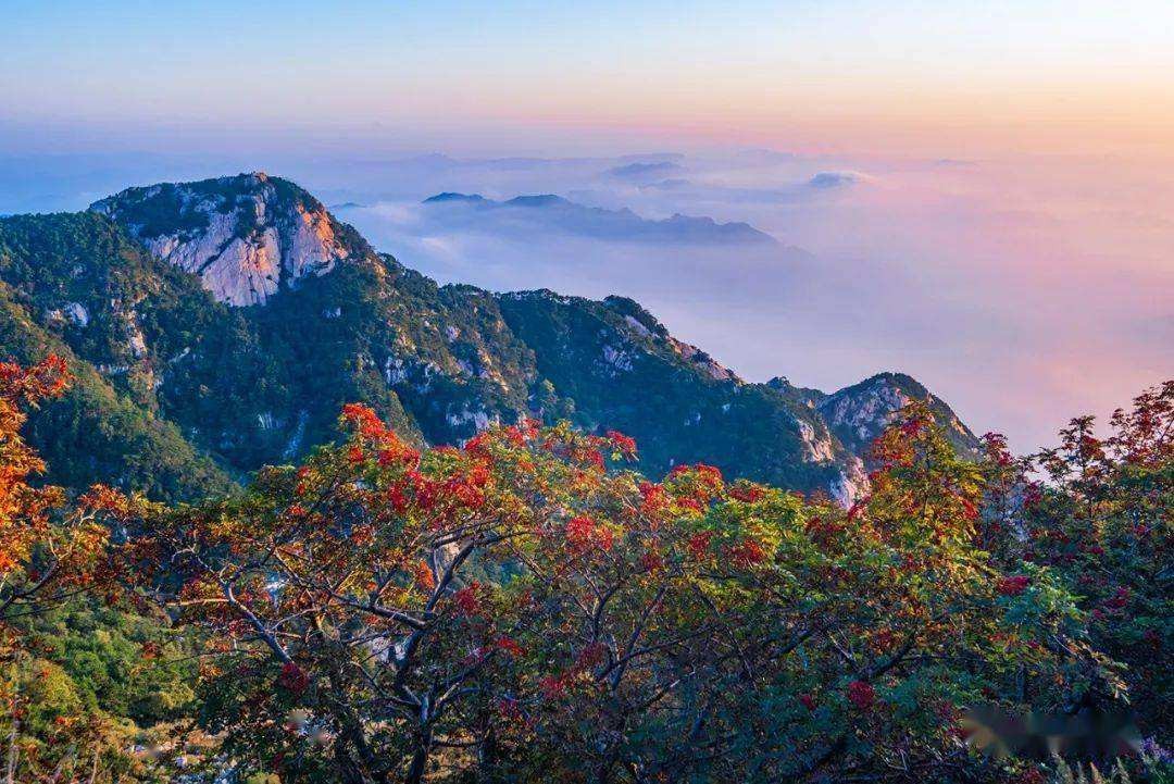 山东旅游攻略景点必去排名,山东旅游攻略景点推荐大全