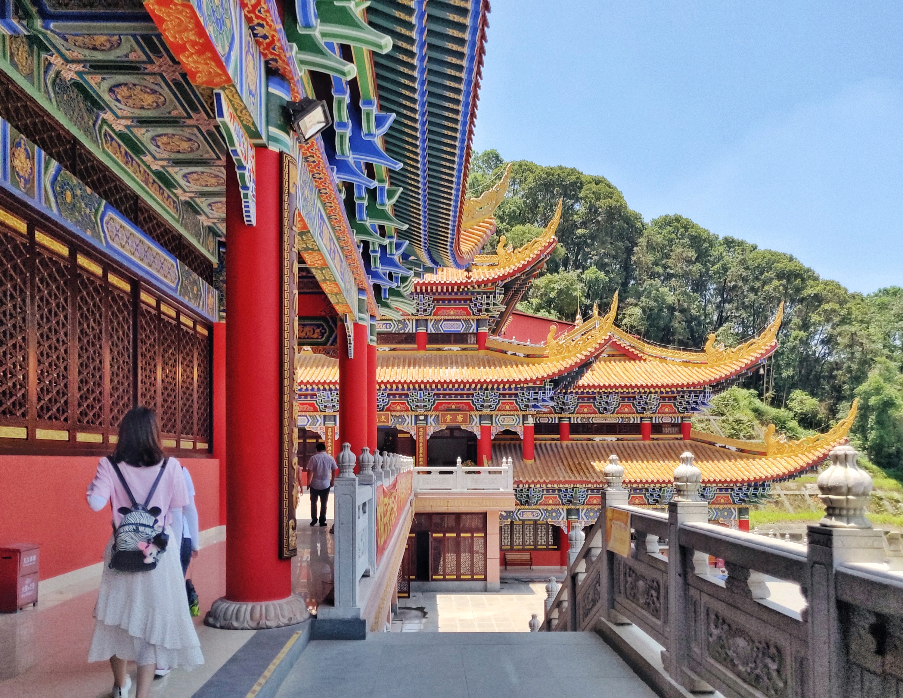 借问疫情何处去，根哥遥指大岭山