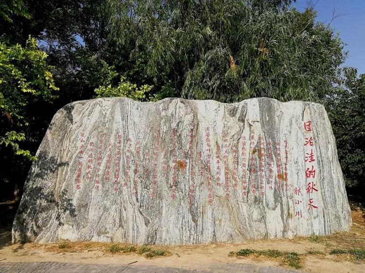 团泊洼,曾经有过一批中国顶级文艺球迷