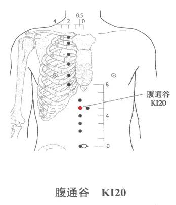 止呕穴准确位置图,腹通谷穴位图片