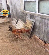 站着走路腰不舒服坐着没事,走路累了倒走能缓解吗