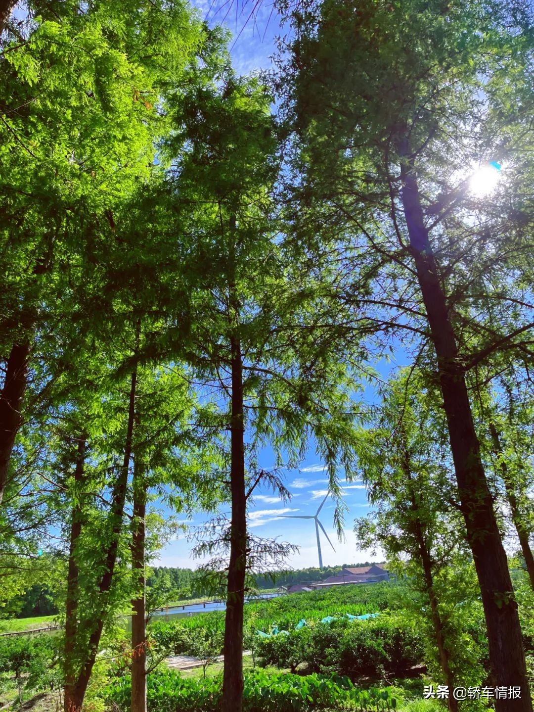 璺瘯,璺瘯璧翠竴鍦洪暱鍩庤剼涓嬬殑绉嬪ぉ鐩涘