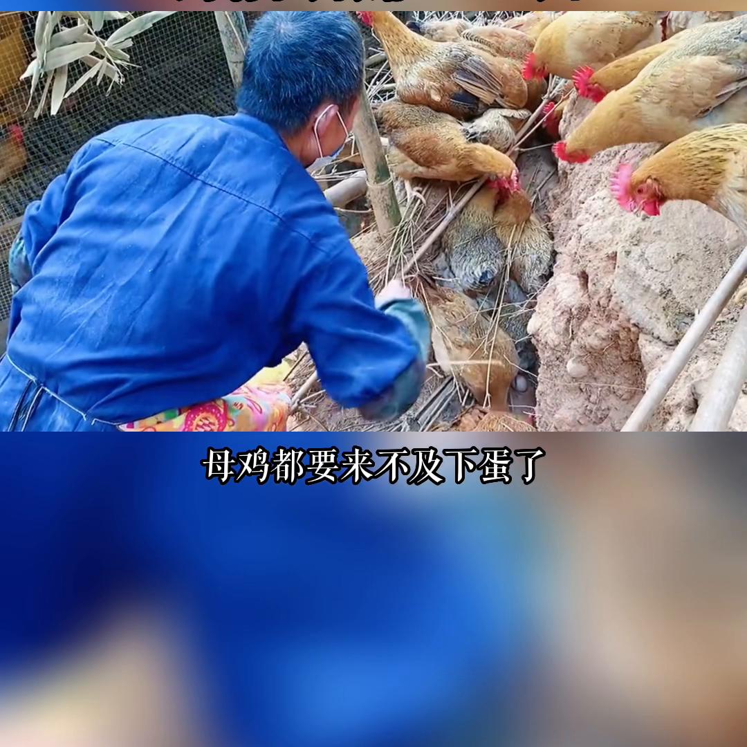 赚钱软件,赚钱小游戏