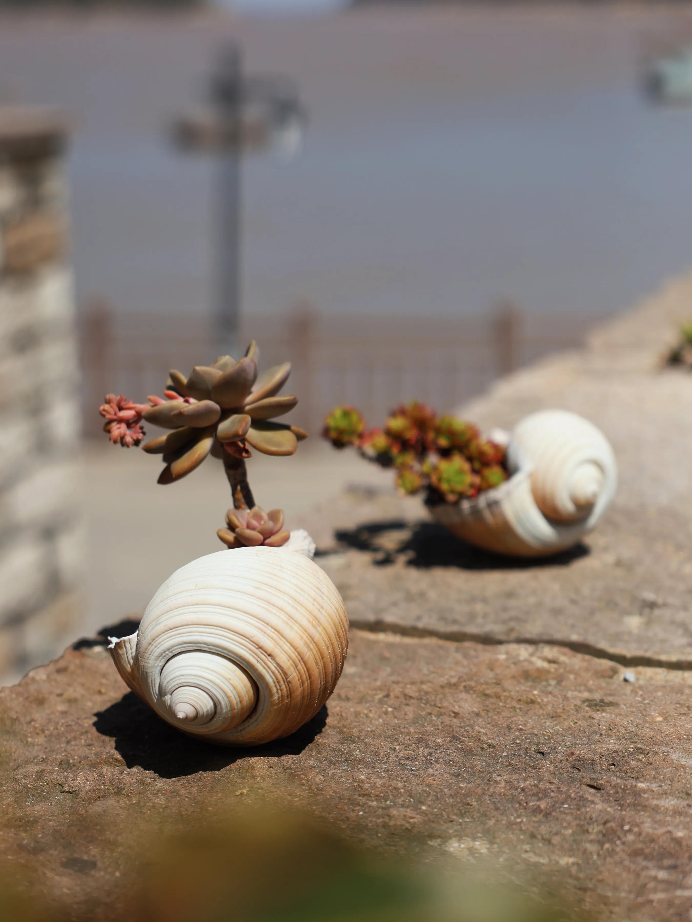 江浙沪宝藏亲子游不踩坑,象山石浦两天一夜自驾游攻略