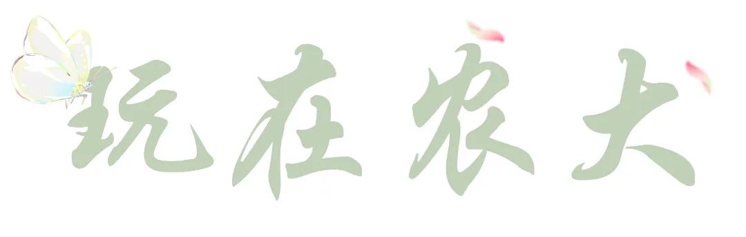 来到农大的心得体会,农大心得