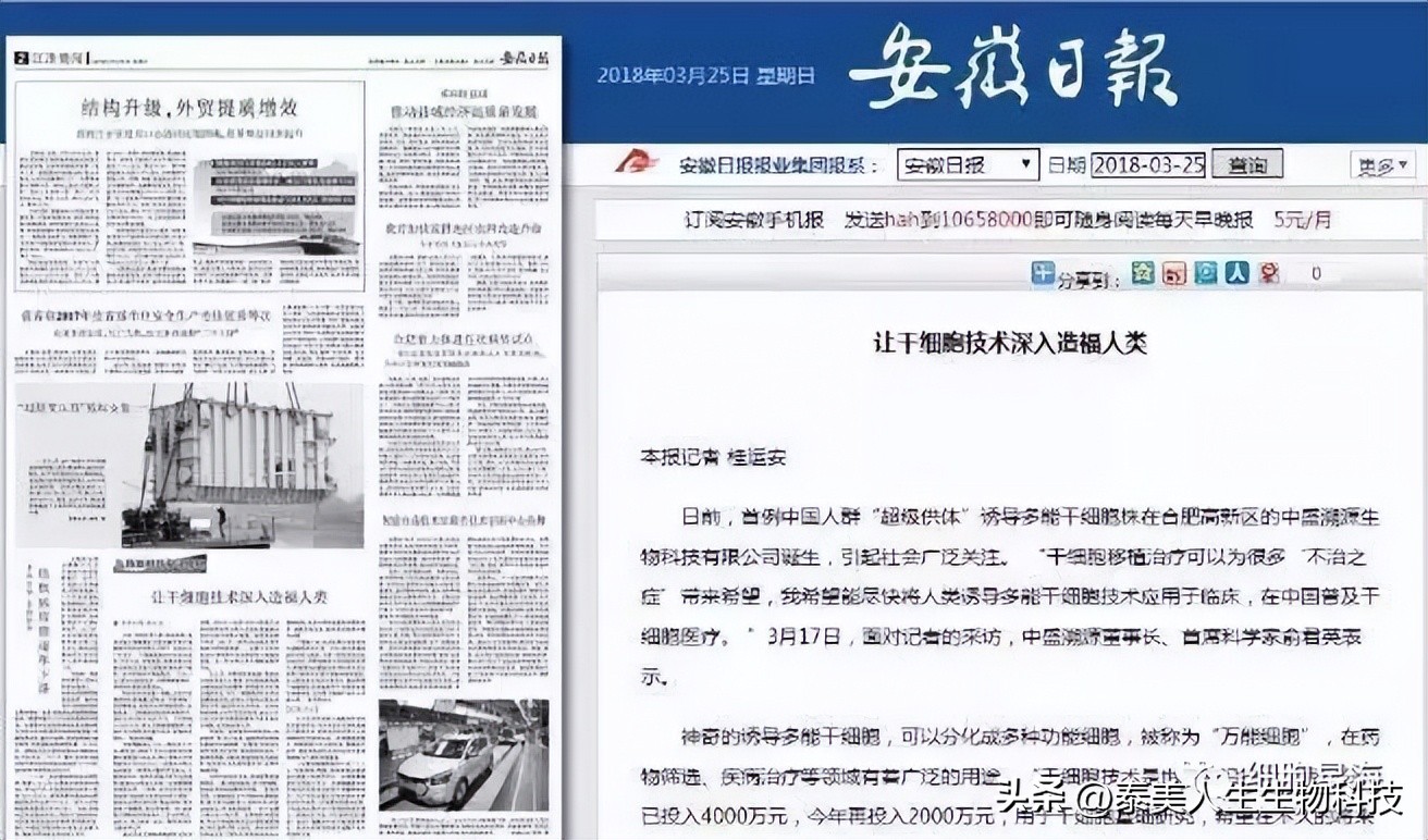 干细胞的最新进展,干细胞多久会停止发展