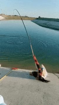 公司上班职业装女,公司发的职业装太紧