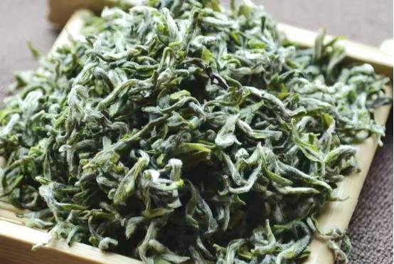 为什么成都人喜欢竹叶青茶,为何成都人偏爱竹叶青绿茶