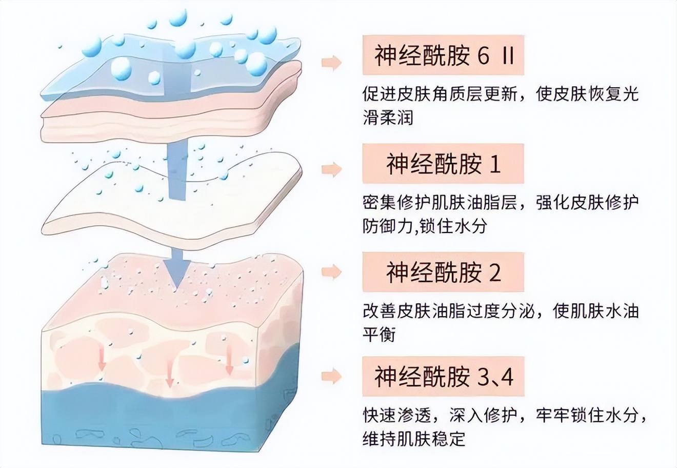 每到秋天，手和腿上就会出现各种干燥情况，还会脱皮，要怎么办？