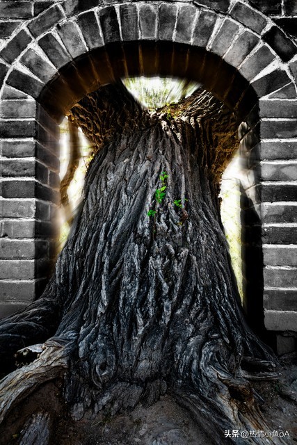 婚姻会特别稳定的星座配对,白羊座真爱的星座配对