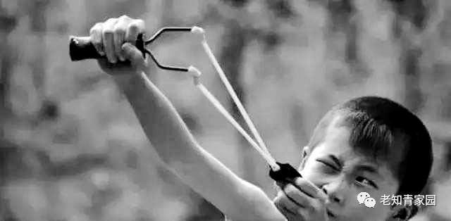 记录60年代真实中国生活,50年代百姓生活的真实影像