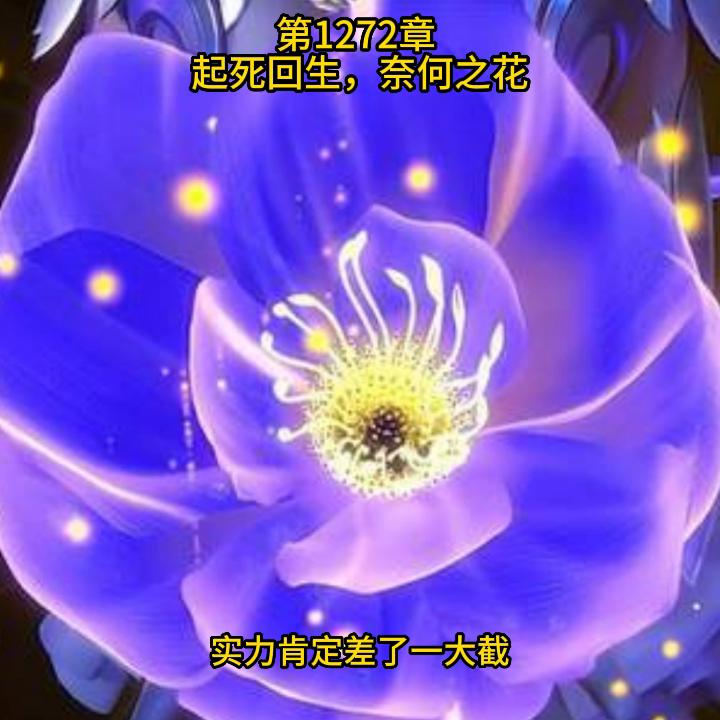 宠魅漫画在哪看,魅宠漫画