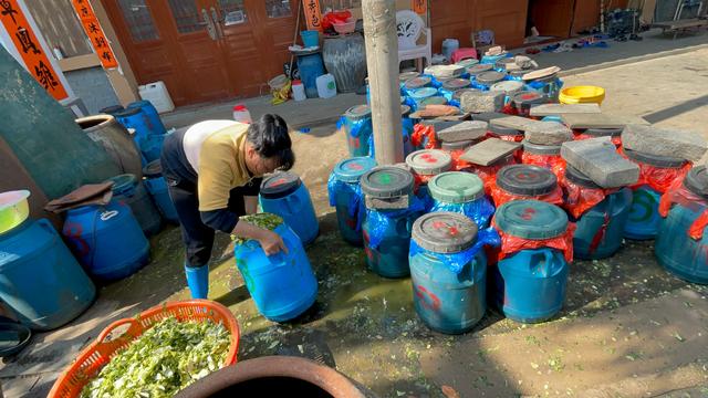 海南印象：女人太能干了，海边晒的大鱼*你干**认识吗？