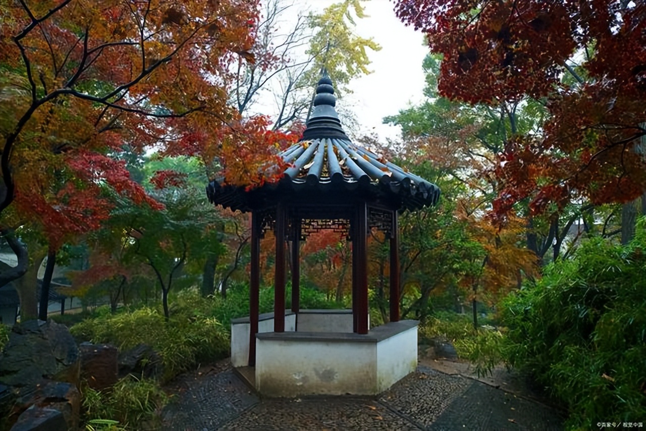 苏州5号线沿线景点哪个最值得去,苏州附近100公里左右的旅游景点