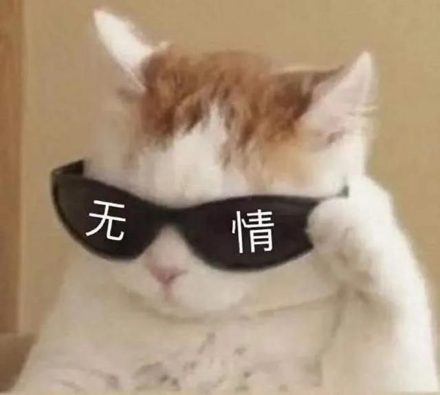 猫咪发情怎么办,公猫咪剃毛后发情怎么缓解