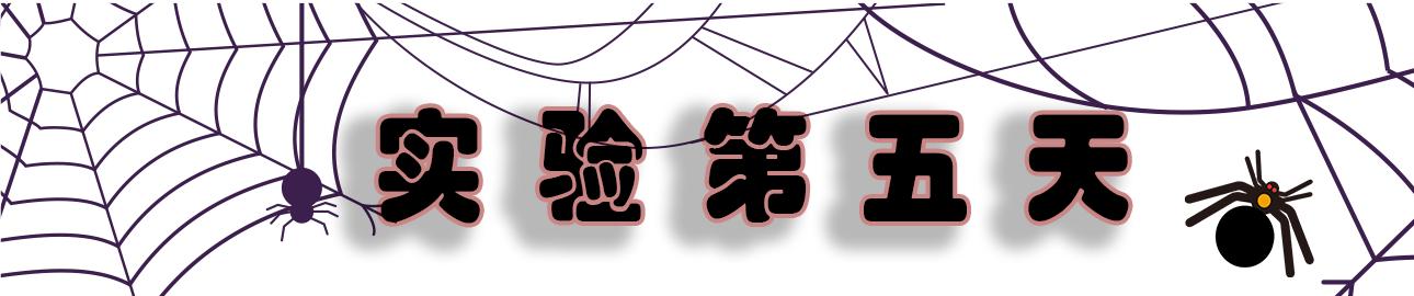 路西法效应好人是如何变成恶魔的,权力导致人性的异化