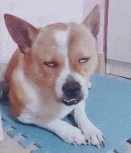 “易孕体质是种什么样的感受？”哇哈哈哈哈太真实了: