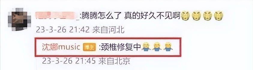 沈腾康复师,沈腾赴日本做康复治疗事件