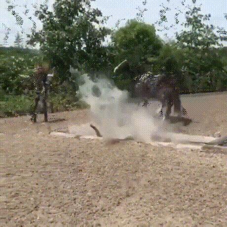 a股年度搞笑总结动图版,a股本周总结和思路