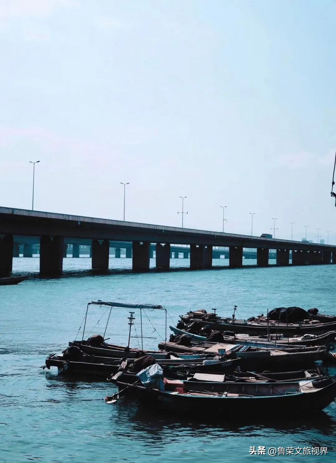 厦门橘子海,去厦门想看海住在哪里合适