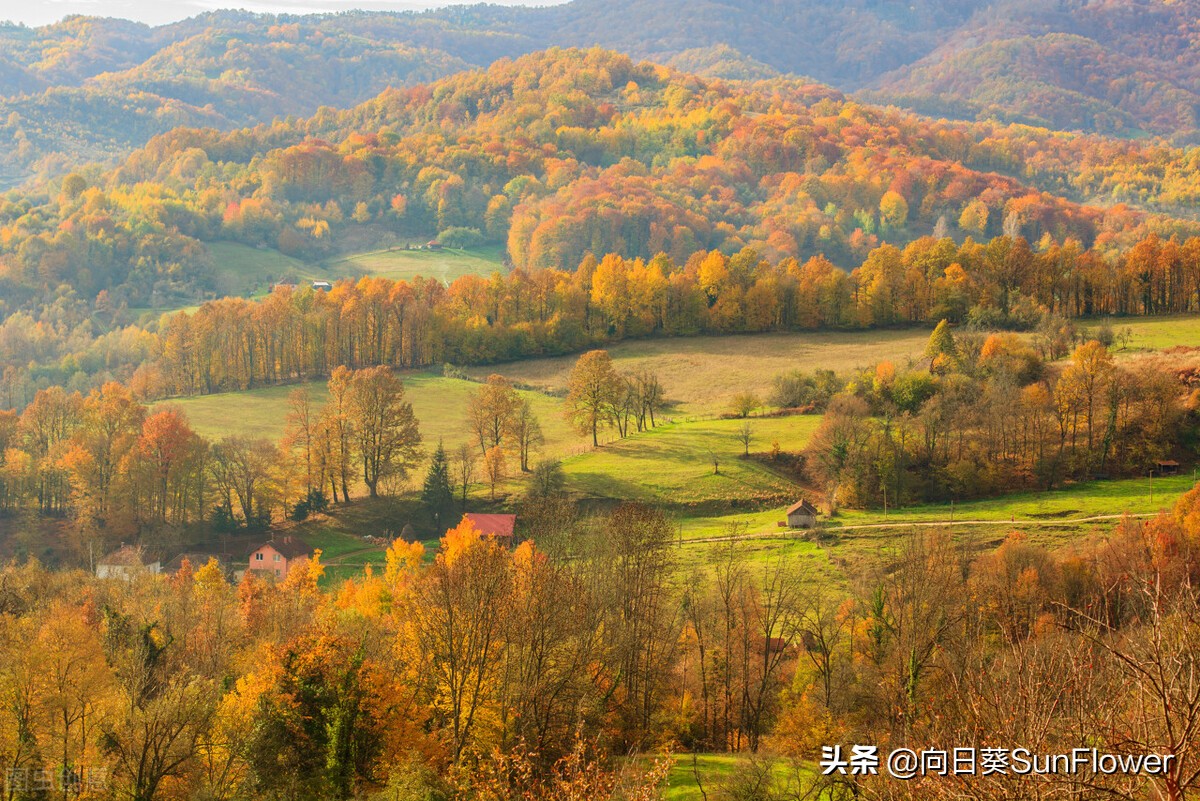 鎴戝湪瑗夸集鍒╀簹,瑗夸集鍒╀簹妫灄鏈変粈涔堝ソ鏈ㄦ潗