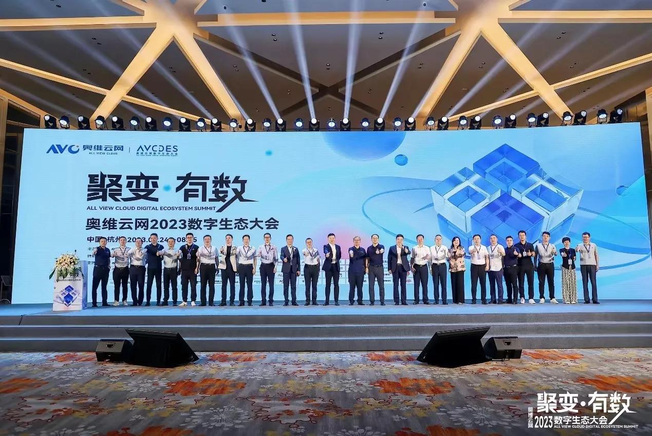 洞见智慧,洞见中国智慧赋能ai新时代