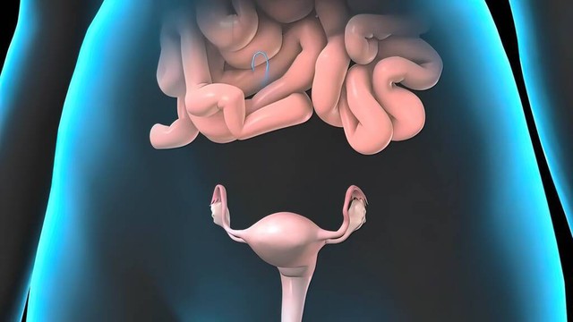 宫颈成熟度检查的方法和要点，你掌握了吗？派特灵派特生物科普