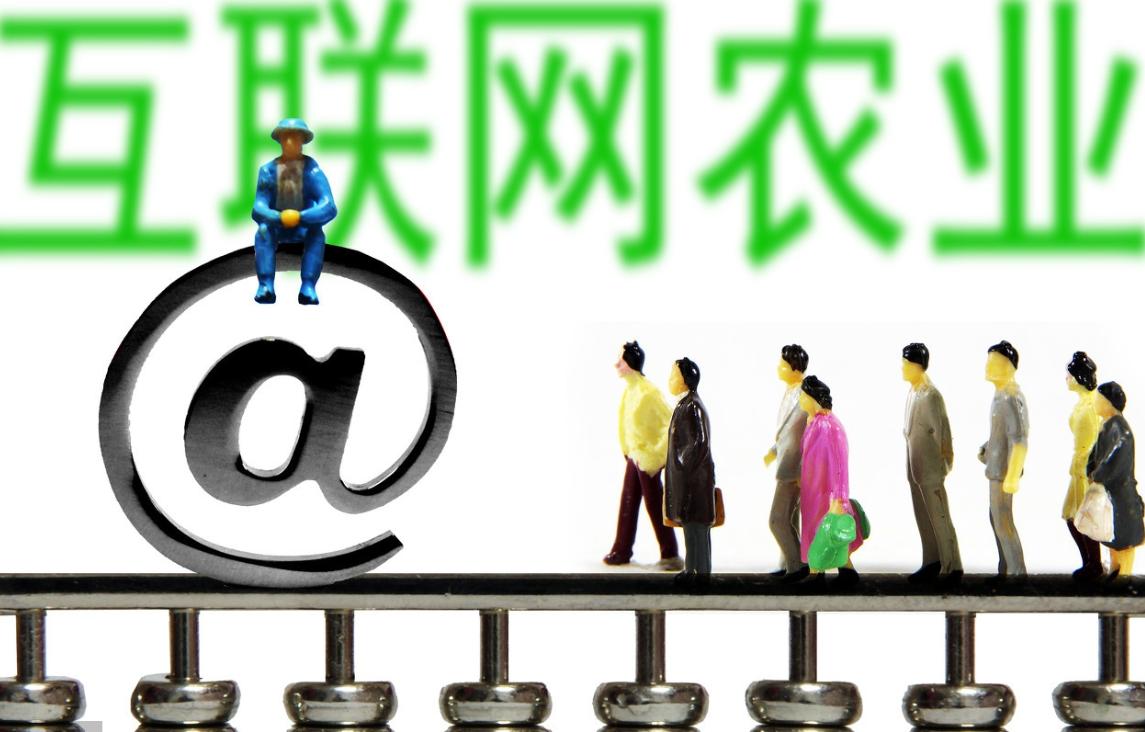 互联网促进农业经济发展策划书,农业产业与互联网融合研究