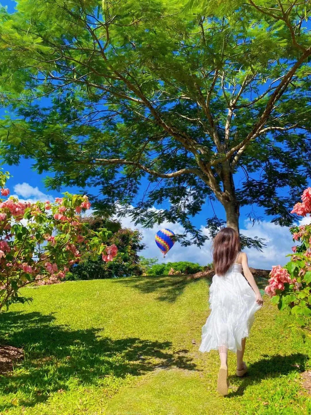 云南西双版纳风景领略异域风情,云南西双版纳真实风景