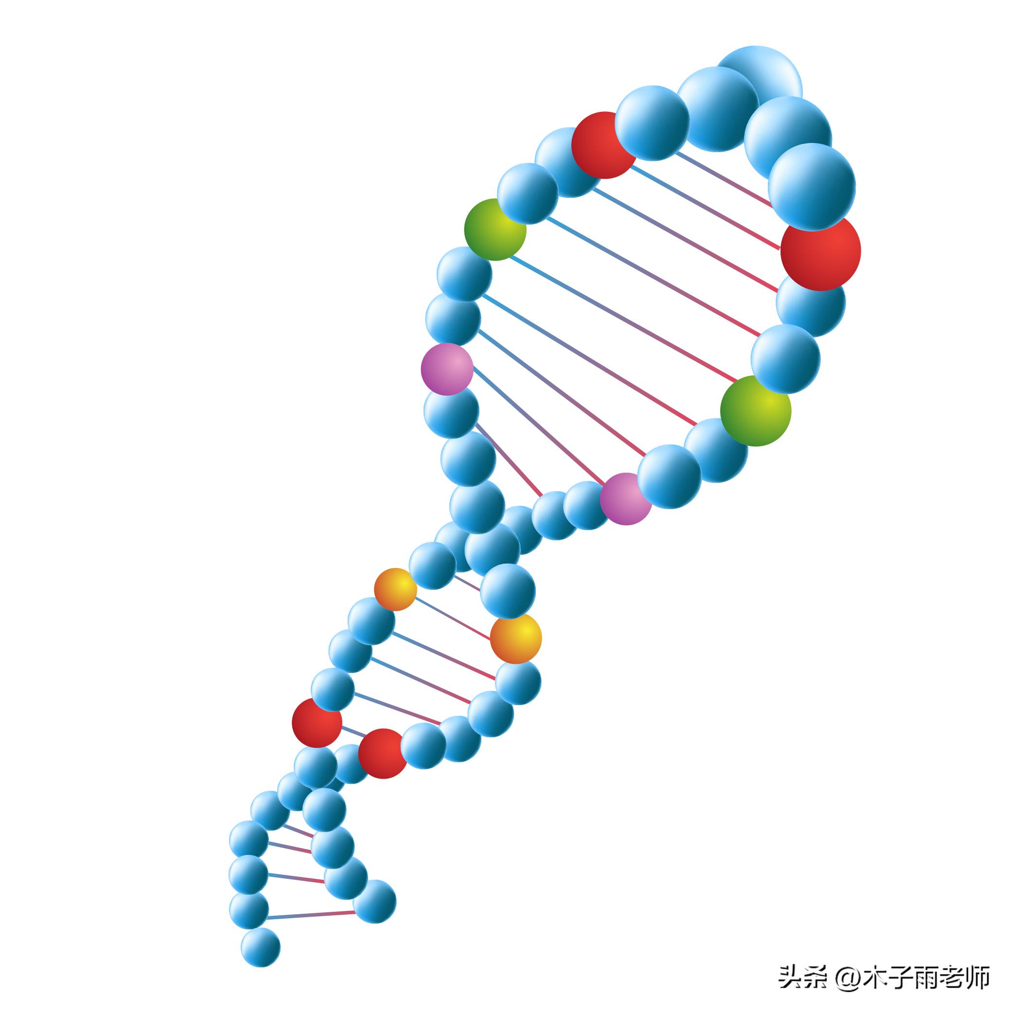 单词积累每日必背高中,牛津七下u1单词