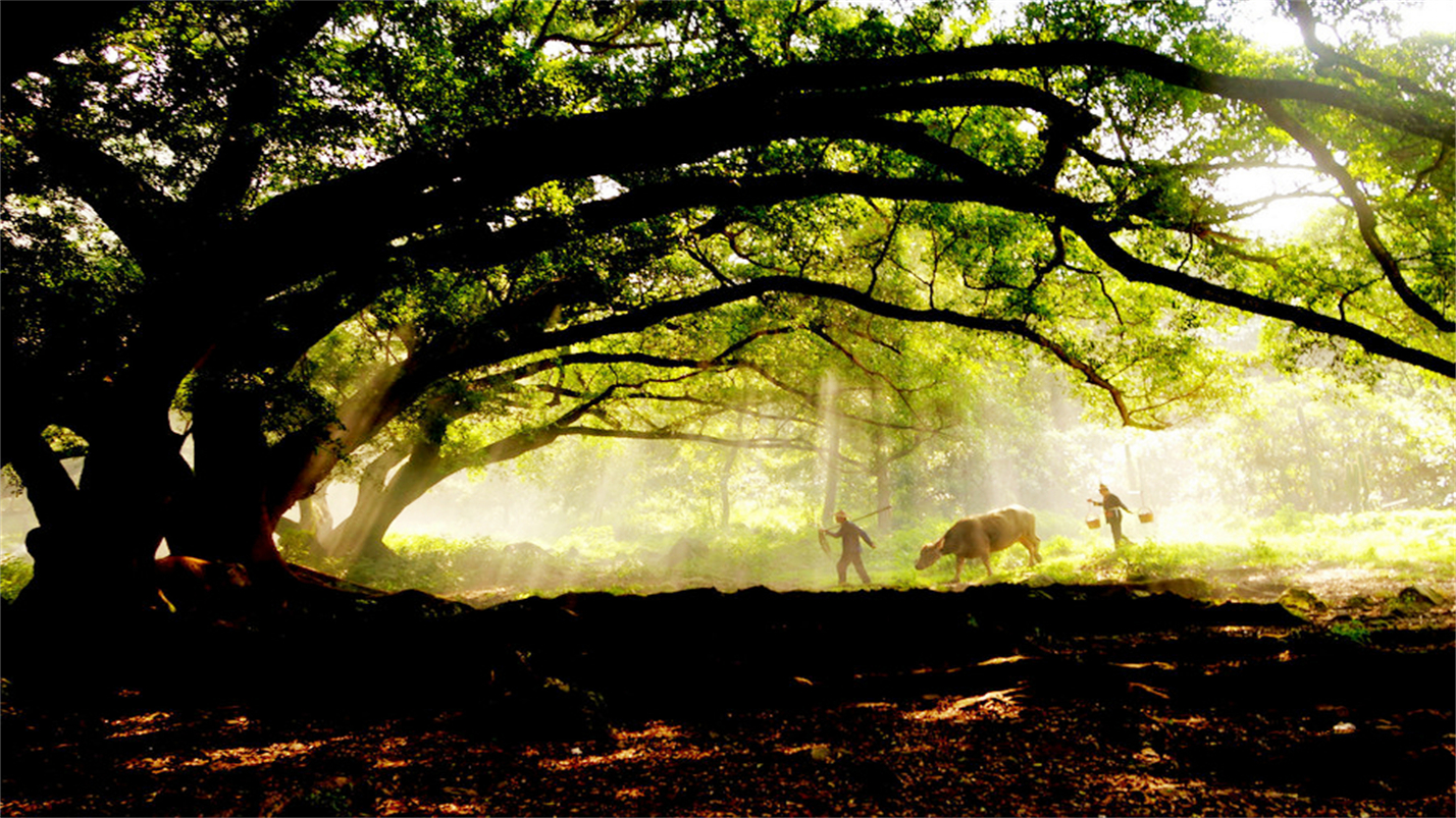 时光一逝永不回往事只能回味对唱,时光一逝永不回往事只能回味