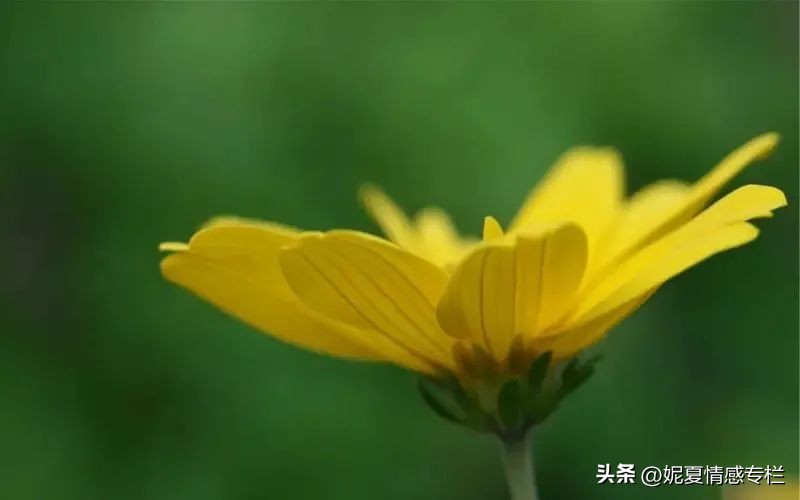 过了40岁千万不要再打工,五十岁以后一定要努力赚钱