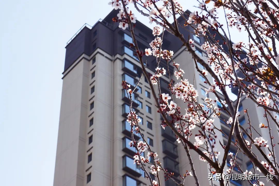 五华区买房攻略新手必看,狂飙楼市