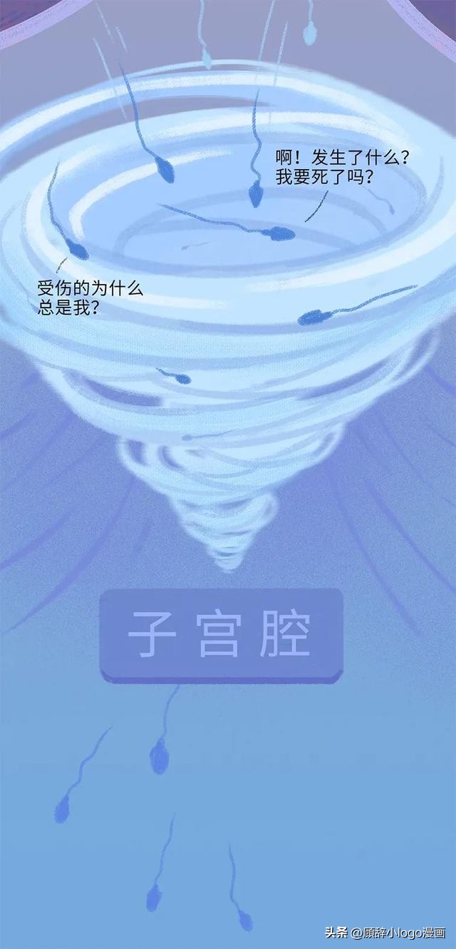 精子进入女生体内的24小时，都发生了些什么？太励志了！（漫画）