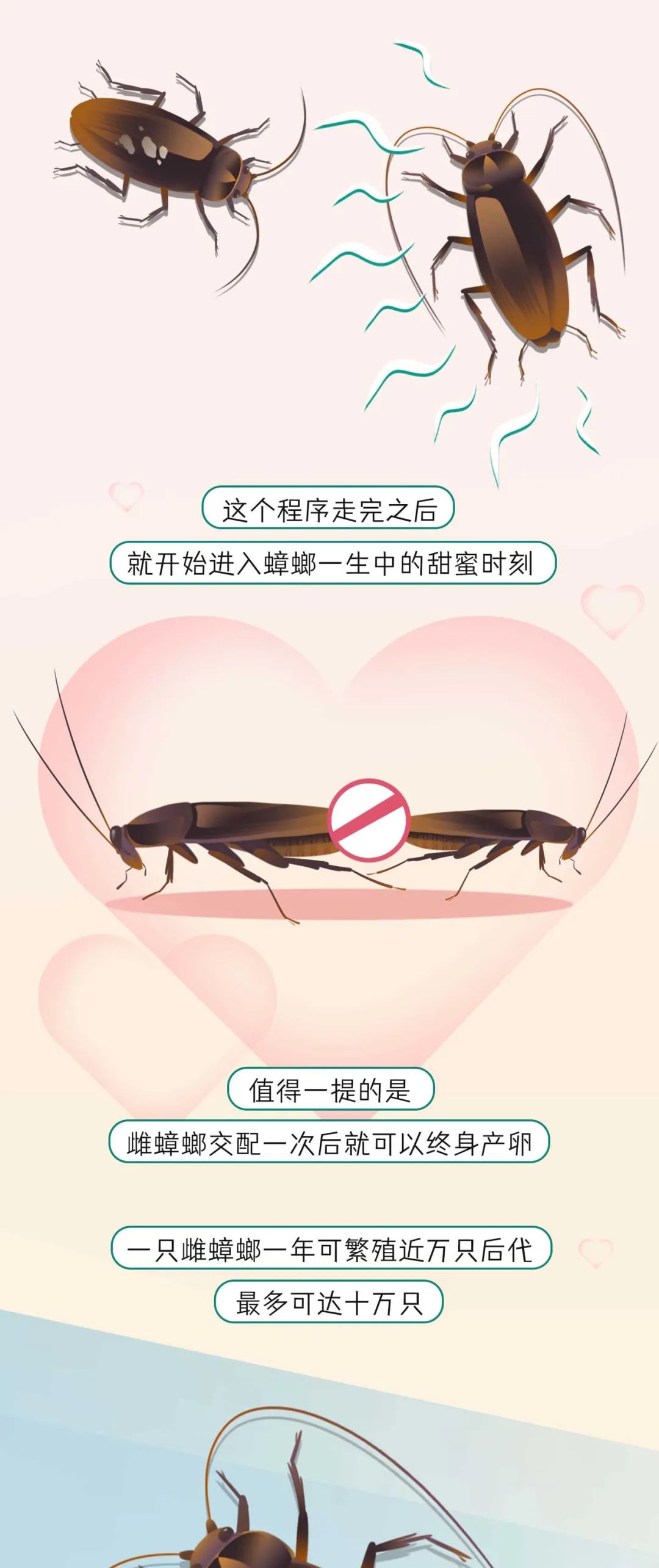 漫画：一组关于动物交配时间统计表曝光！