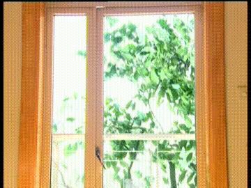 董洁拍白领公寓片段神颜,二十年后再看经典电视剧