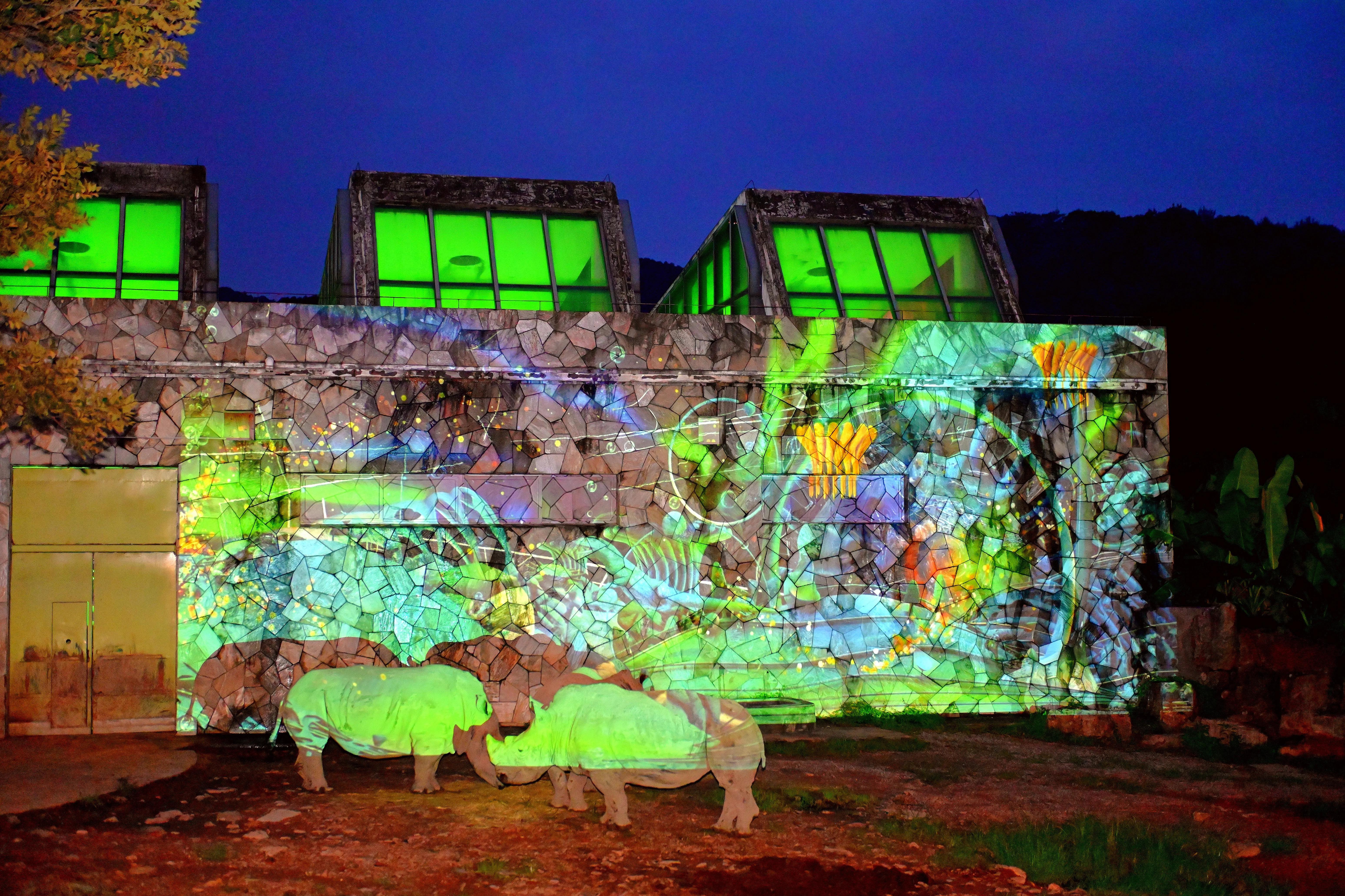 无锡动物园夜公园游玩攻略,无锡动物园攻略