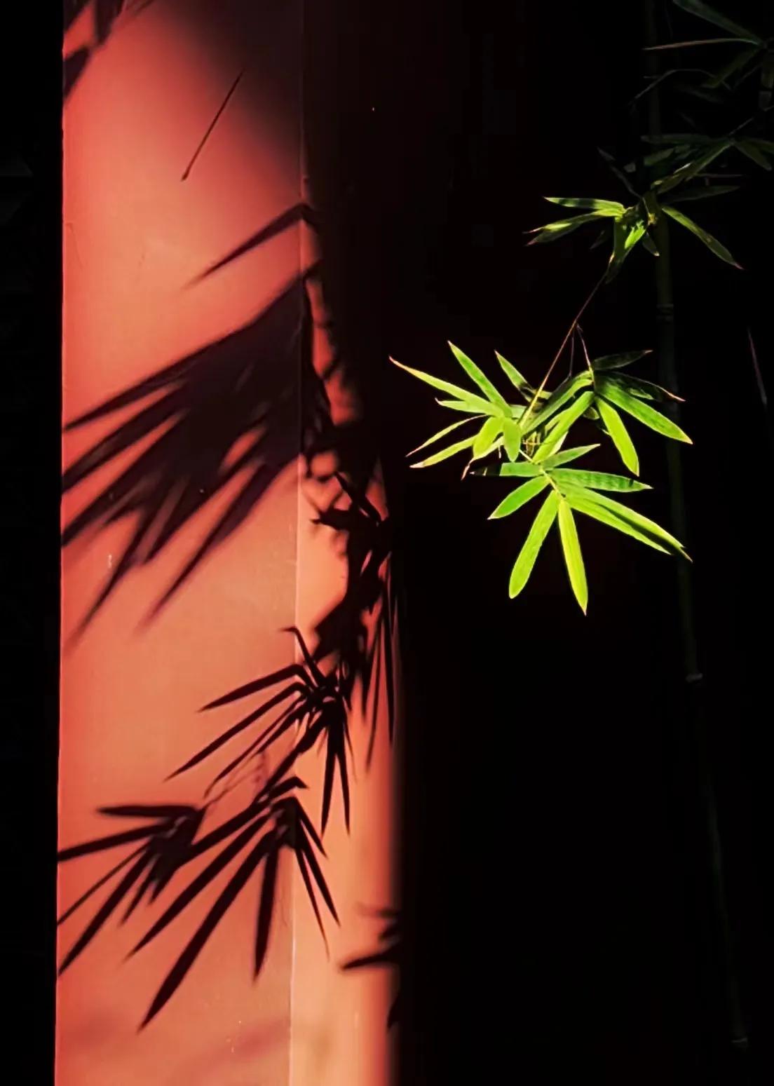 27届全国摄影艺术展评选结果组照,第二十八届全国摄影艺术展览征稿