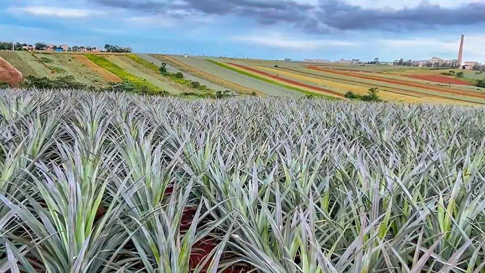 广东度假海岸,广东海岸线自驾游