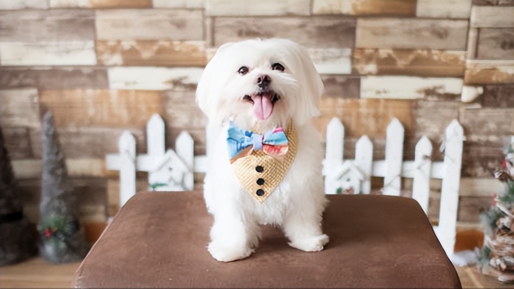 单身光棍节发朋友圈高级文案,光棍节文案幽默短句