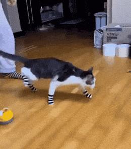 媒体盒子软件,媒体盒子软件有哪些好用