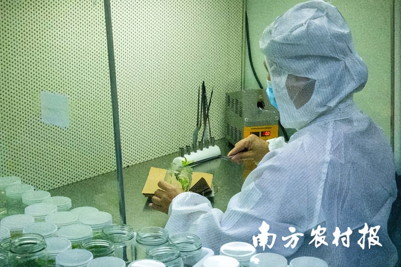 吾心归处为吾乡,吾心归处是原乡歌词