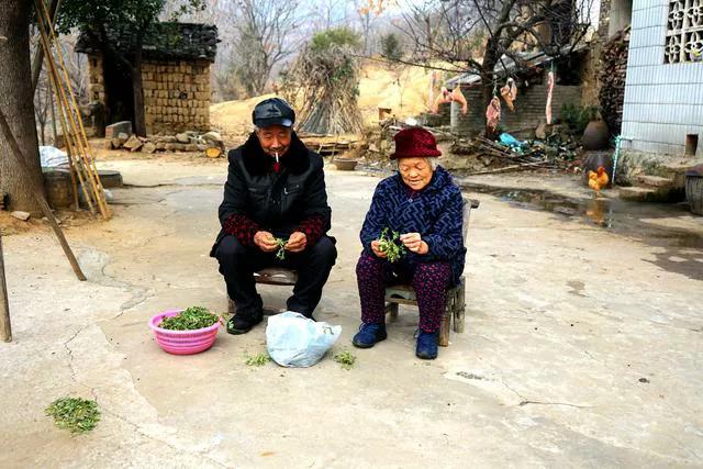 今后户籍政策会允许非转农吗,农转非户口有什么新政策