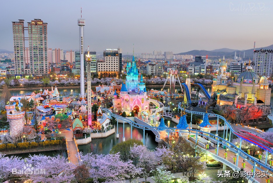 乐天为什么退出中国,韩国乐天退出中国后现状