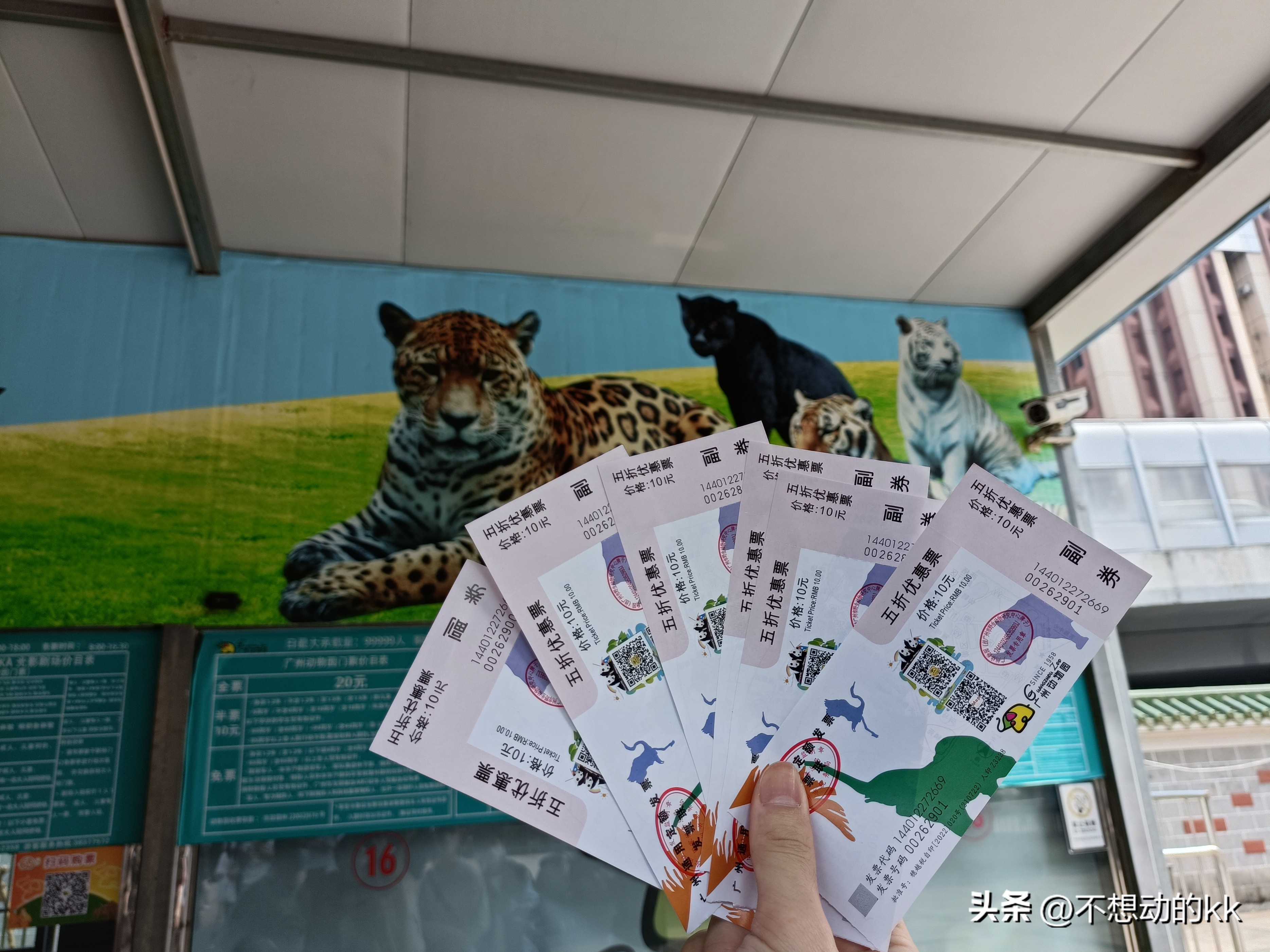 10元门票的广州动物园,广州动物园5元攻略
