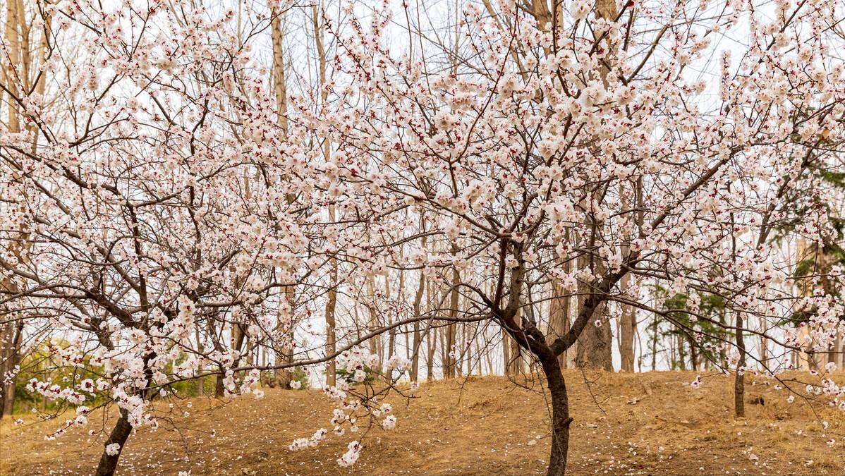 与书相伴与智慧同行,与书相伴静静地享受这段时光