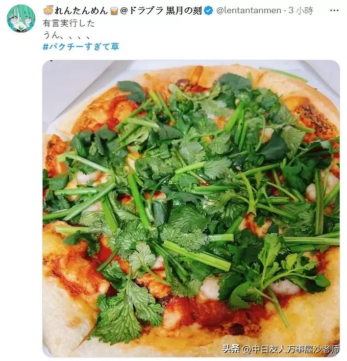 必胜客新品香菜披萨限定门店,日本必胜客披萨