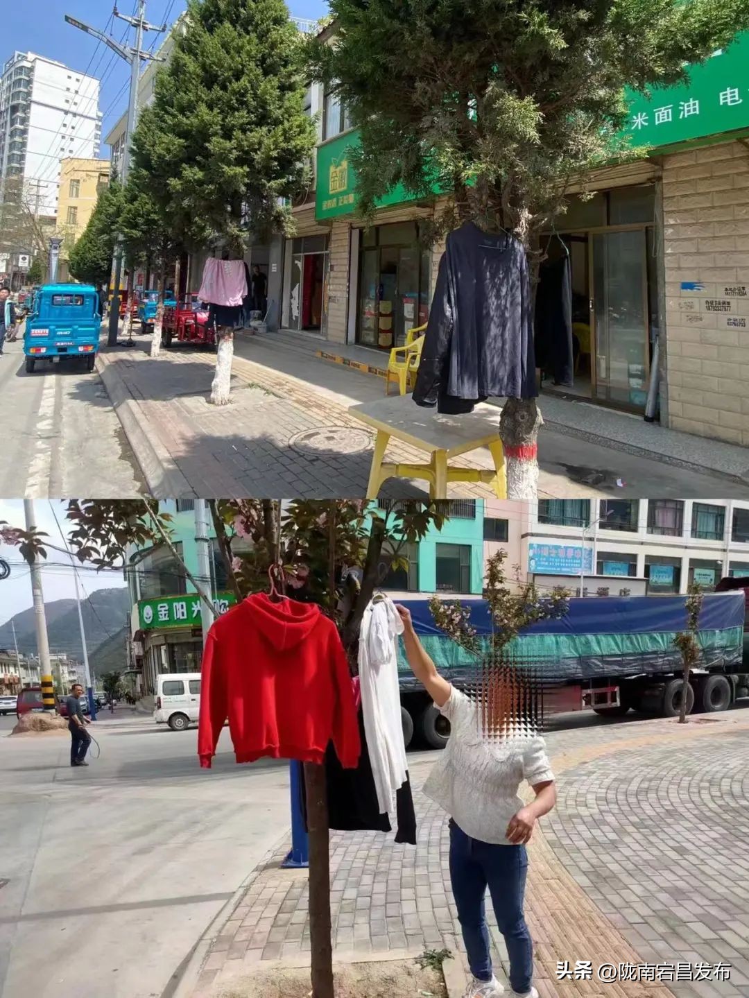 春风十里文明赏花倡议书,文明赏花从我做起倡议书