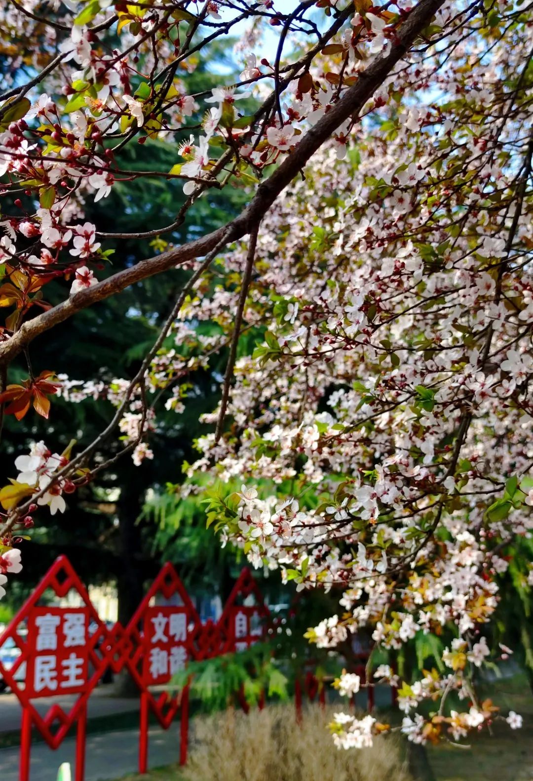 南阳理工小清华由来,南阳理工号称南方小清华